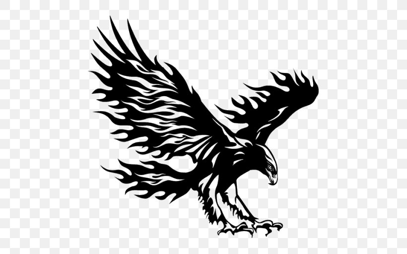 Car Wall Decal Bumper Sticker, PNG, 512x512px, Car, Accipitriformes, American Motors Corporation, Bald Eagle, Beak Download Free