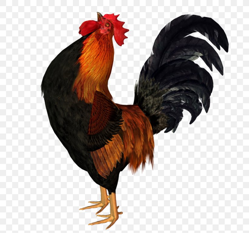 Chicken Rooster Animation Bird, PNG, 753x768px, Chicken, Animation, Beak, Bird, Cock A Doodle Doo Download Free