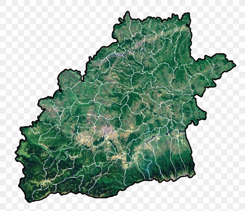 Alma, Sibiu Jina, Sibiu Loamneș Valea Viilor, PNG, 1189x1024px, Sibiu, Alma Sibiu, Cristian, Leaf, Map Download Free