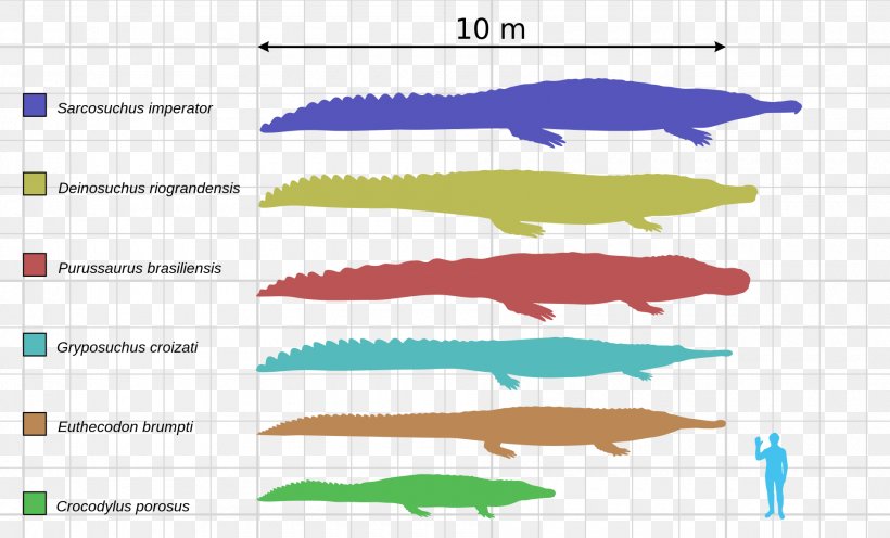 Deinosuchus Sarcosuchus Crocodile Late Cretaceous Alligator, PNG, 1900x1150px, Deinosuchus, Alligator, Area, Caiman, Cretaceous Download Free