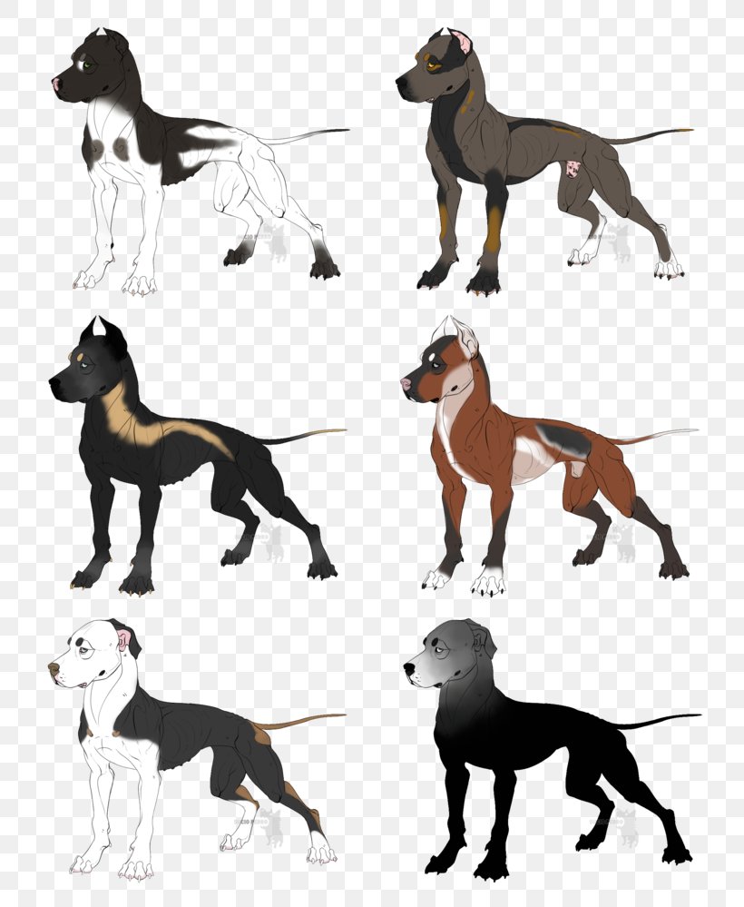 Dog Breed American Pit Bull Terrier Italian Greyhound American Bulldog, PNG, 800x999px, Dog Breed, American Bulldog, American Pit Bull Terrier, Breed, Bulldog Download Free