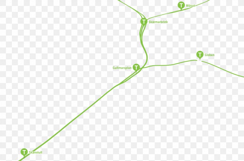 Point Angle Leaf, PNG, 1000x663px, Point, Area, Branch, Grass, Green Download Free