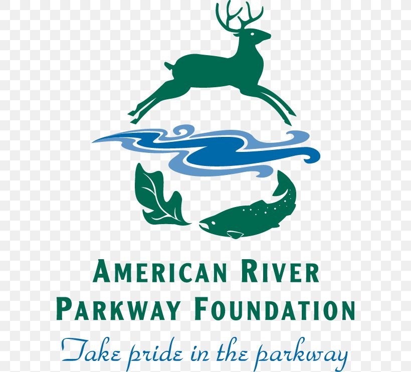 American River Parkway Foundation Photograph, PNG, 594x742px, American River, Area, Artwork, Brand, Grass Download Free