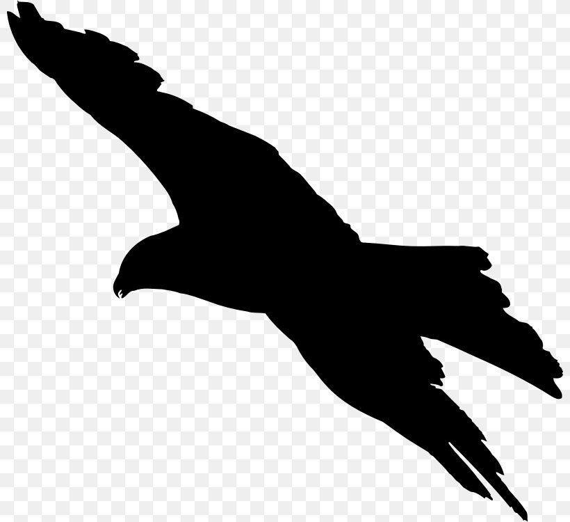 Bird Flight Bird Flight Bald Eagle Silhouette, PNG, 800x750px, Bird, Arm, Bald Eagle, Beak, Bird Flight Download Free