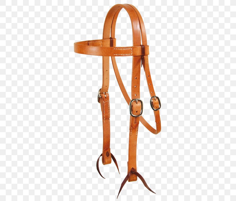 Bit Horse Bridle Equestrian Rein, PNG, 700x700px, Bit, Bridle, Equestrian, Girth, Hackamore Download Free