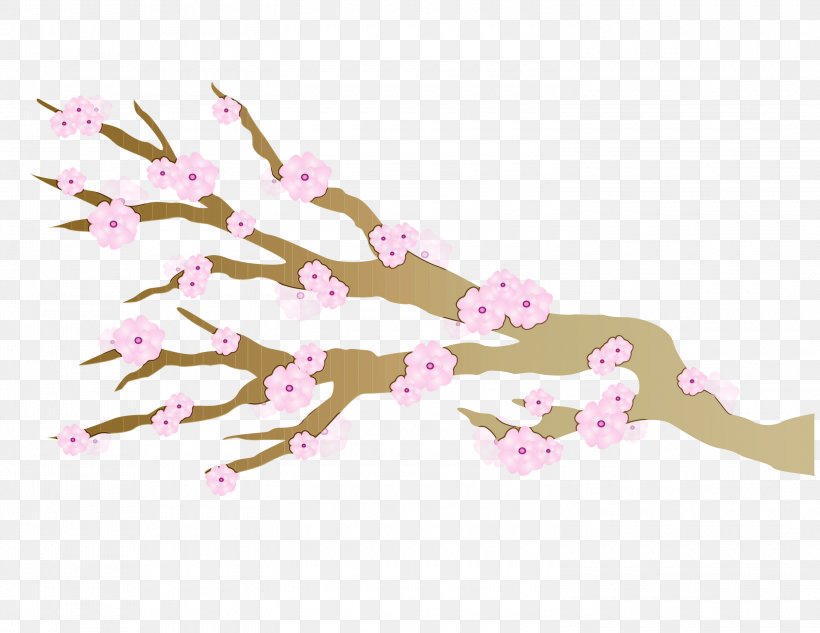 Cherry Blossom Image YouTube Video, PNG, 3000x2318px, Cherry Blossom, Blossom, Branch, Cherries, Duration Download Free