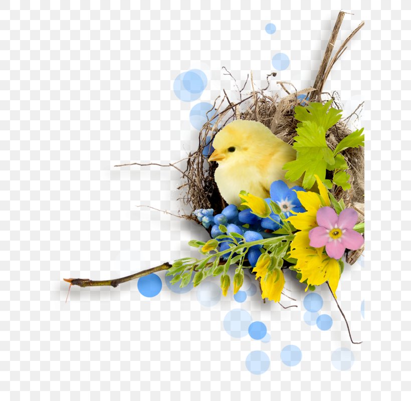 Easter Bird Clip Art, PNG, 635x800px, Easter, Beak, Bird, Branch, Common Pet Parakeet Download Free