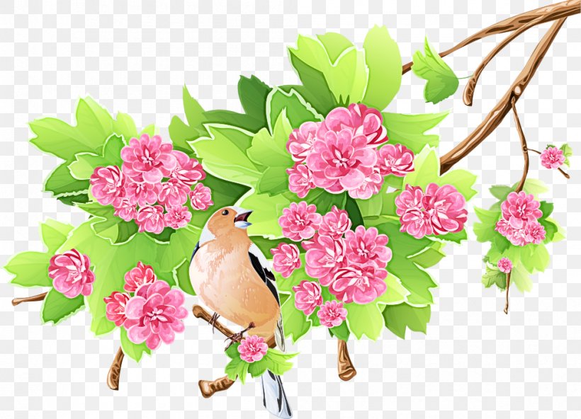 Flower Clip Art Plant Pink Cut Flowers, PNG, 996x720px, Flower, Blossom, Branch, Cut Flowers, Pink Download Free
