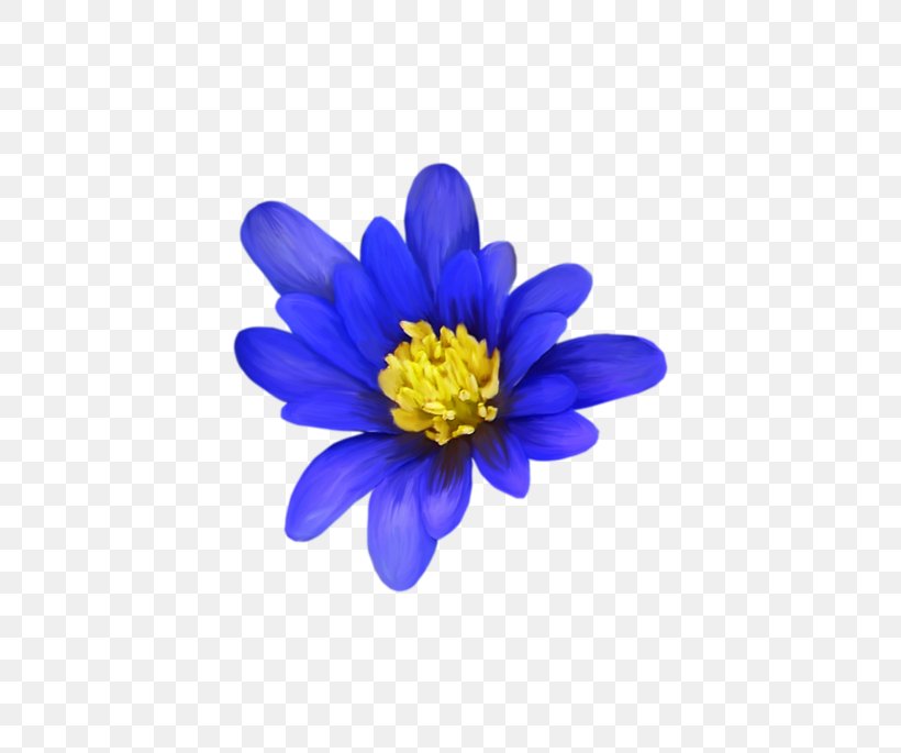 Flower Petal Email 0 Pin, PNG, 600x685px, 2017, Flower, Aster, Blog, Blue Download Free