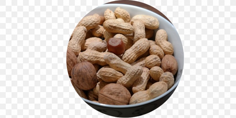Peanut Food Health Eating, PNG, 1000x500px, Peanut, Bean, Commodity, Eating, Food Download Free