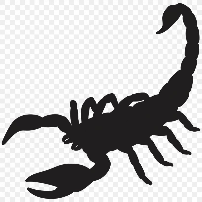 Scorpion Silhouette Drawing, PNG, 1201x1201px, Scorpion, Arachnid, Art, Arthropod, Black And White Download Free