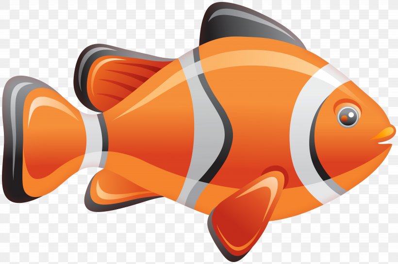 Vector Graphics Stock Illustration Stock Photography Royalty-free, PNG, 8000x5311px, Stock Photography, Drawing, Fish, Istock, Orange Download Free