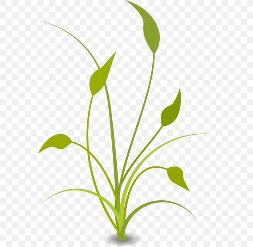 Free Content Nature Clip Art, PNG, 600x800px, Free Content, Blog, Branch, Commodity, Flora Download Free