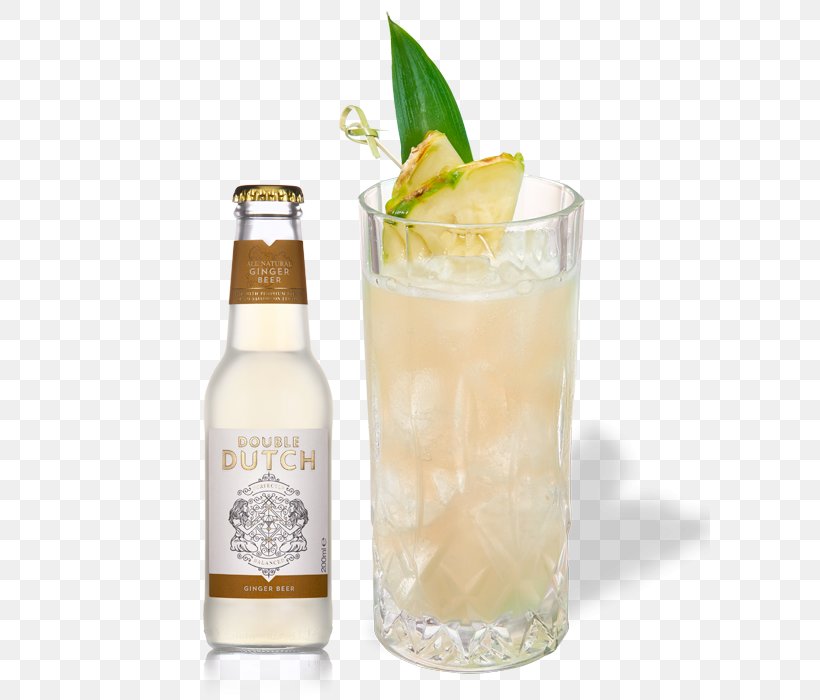 Ginger Beer Tonic Water Drink Mixer Fizzy Drinks, PNG, 600x700px, Ginger Beer, Alcohol By Volume, Alcoholic Beverage, Alcoholic Drink, Beer Download Free