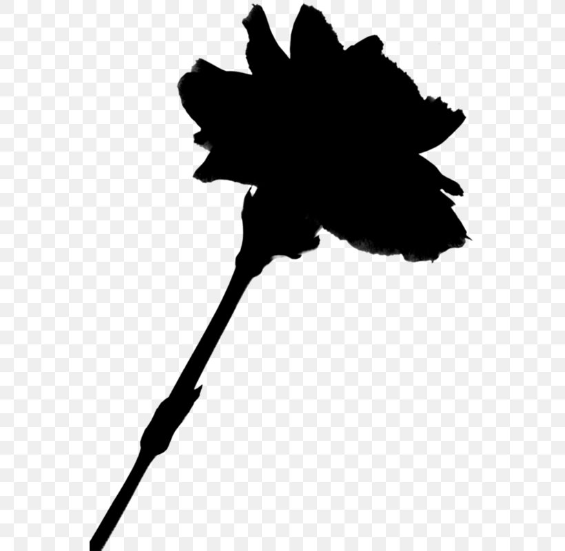 Leaf Flower Plant Stem Clip Art Silhouette, PNG, 559x800px, Leaf, Black M, Blackandwhite, Branching, Flower Download Free