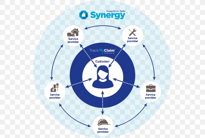 Synergy Information Business Diagram, PNG, 554x554px, Synergy, Area, Ball, Brand, Business Download Free