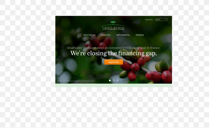 Video Plant Advertising Brand Multimedia, PNG, 1960x1200px, Video, Advertising, Brand, Display Device, Flora Download Free