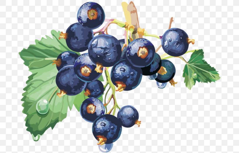 Blackcurrant Redcurrant Juice Nectar Macaron, PNG, 700x525px, Blackcurrant, Berry, Bilberry, Blueberry, Blueberry Tea Download Free
