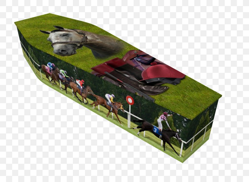 Horse Racing Coffin Equestrian Horseshoe, PNG, 800x600px, Horse, Coffin, Equestrian, Furlong, Hobby Download Free
