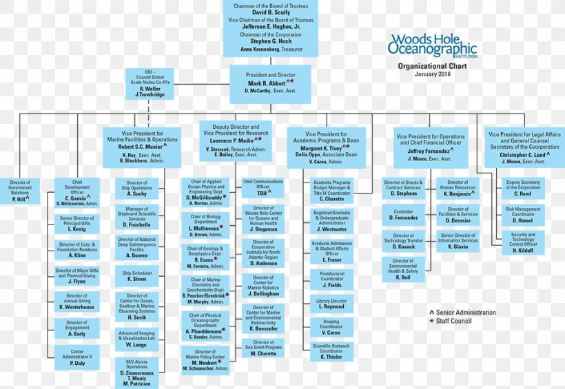 Organizational Chart Organizational Structure Corporation, PNG, 960x662px, Organizational Chart, Board Of Directors, Business, Chart, Company Download Free