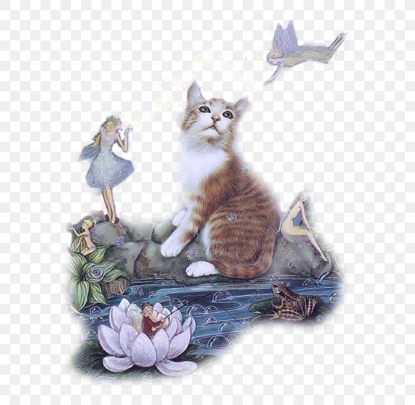 Animation Cat Blog, PNG, 583x800px, Animation, Blog, Carnivoran, Cat, Cat Like Mammal Download Free