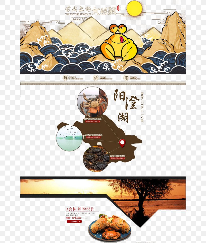 Crab Cangrejo Food Clip Art, PNG, 658x969px, Crab, Cangrejo, Cartoon, Chinese Mitten Crab, Cook Download Free