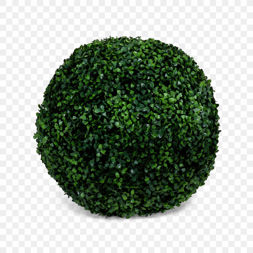 Green Grass Plant Shrub Ball, PNG, 1600x1600px, Watercolor, Ball, Grass, Green, Moss Download Free