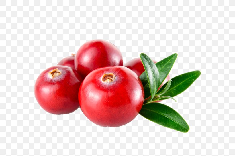 Cranberry Juice Finnish Cuisine Dried Cranberry, PNG, 636x545px, Cranberry Juice, Accessory Fruit, Acerola, Acerola Family, Balsamic Vinegar Download Free