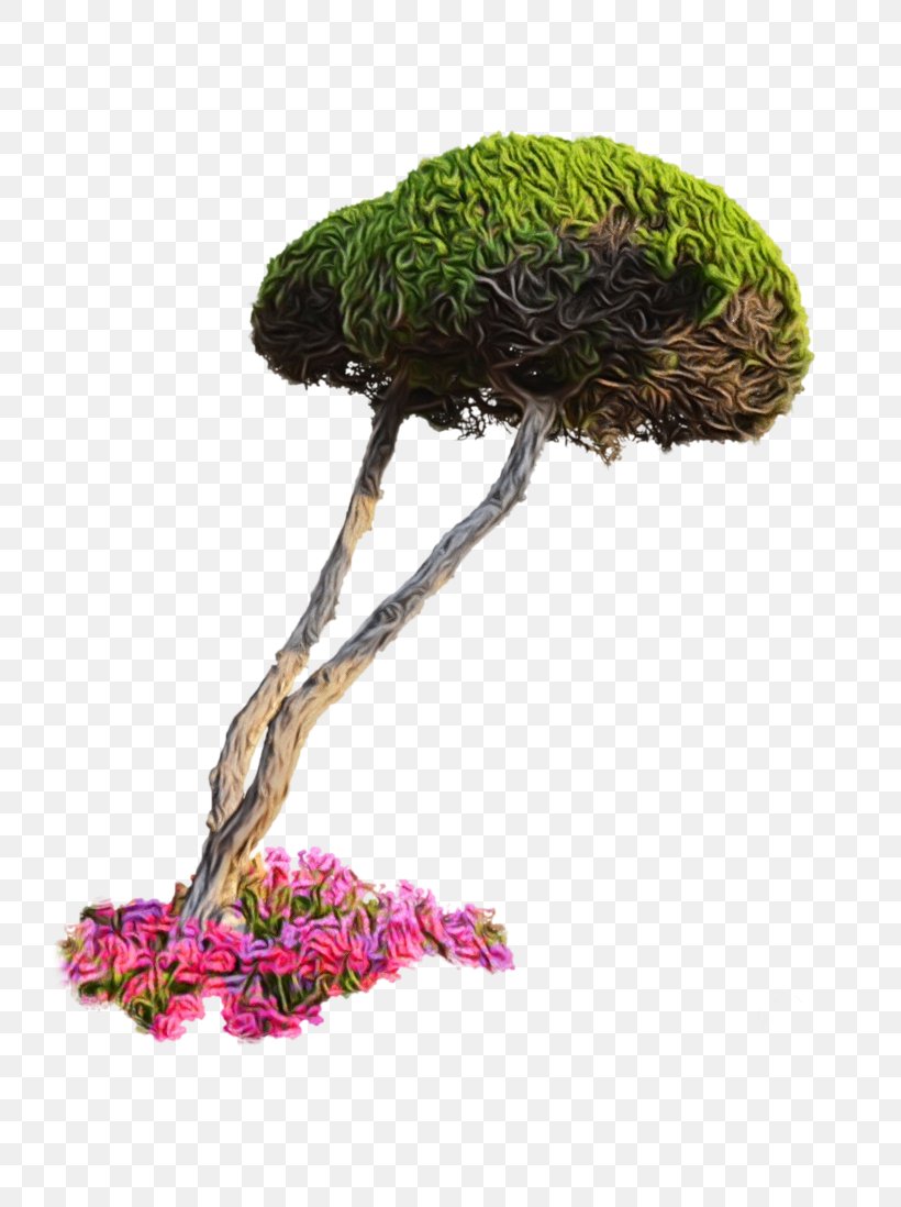 Flowerpot Houseplant Bonsai Tree, PNG, 727x1098px, Flowerpot, Aquarium Decor, Bonsai, Branch, Ceramic Download Free