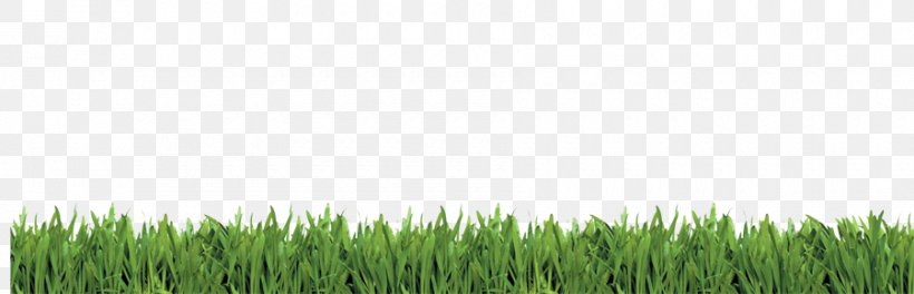 Wheatgrass Lawn Meadow Tree Sky Plc, PNG, 900x290px, Wheatgrass, Commodity, Crop, Field, Grass Download Free