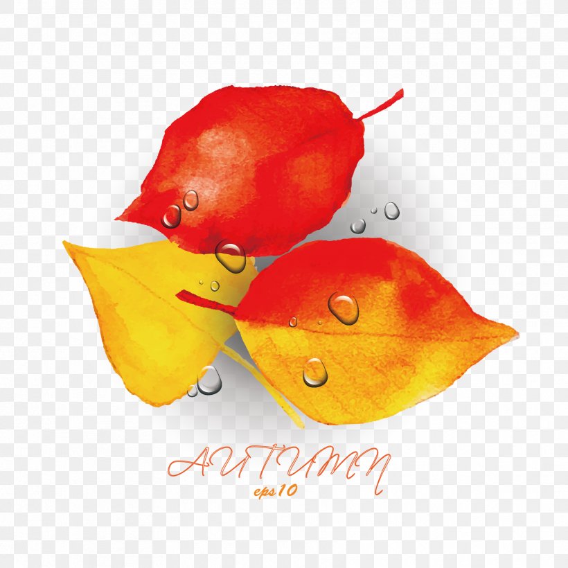 Autumn, PNG, 1772x1772px, Autumn, Computer, Creativity, Designer, Food Download Free