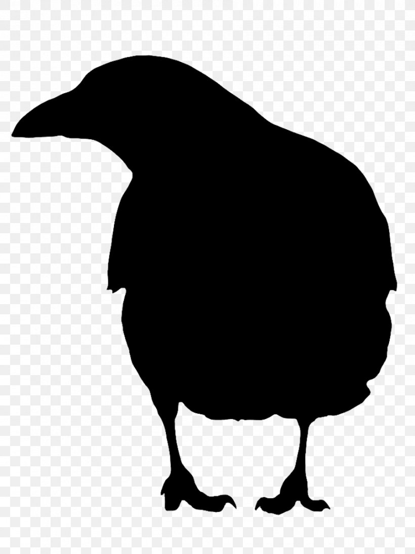 Beak Clip Art Fauna Silhouette Landfowl, PNG, 900x1200px, Beak, Bird, Blackandwhite, Crow, Crowlike Bird Download Free