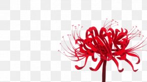 Red Spider Lily Tattoo Drawing Bird Png 730x1095px Red Spider Lily Animal Art Beak Bird Download Free