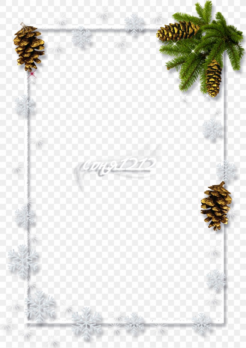 Spruce Christmas Ornament Towanda Picture Frames, PNG, 904x1280px, Spruce, Border, Branch, Christmas, Christmas Card Download Free