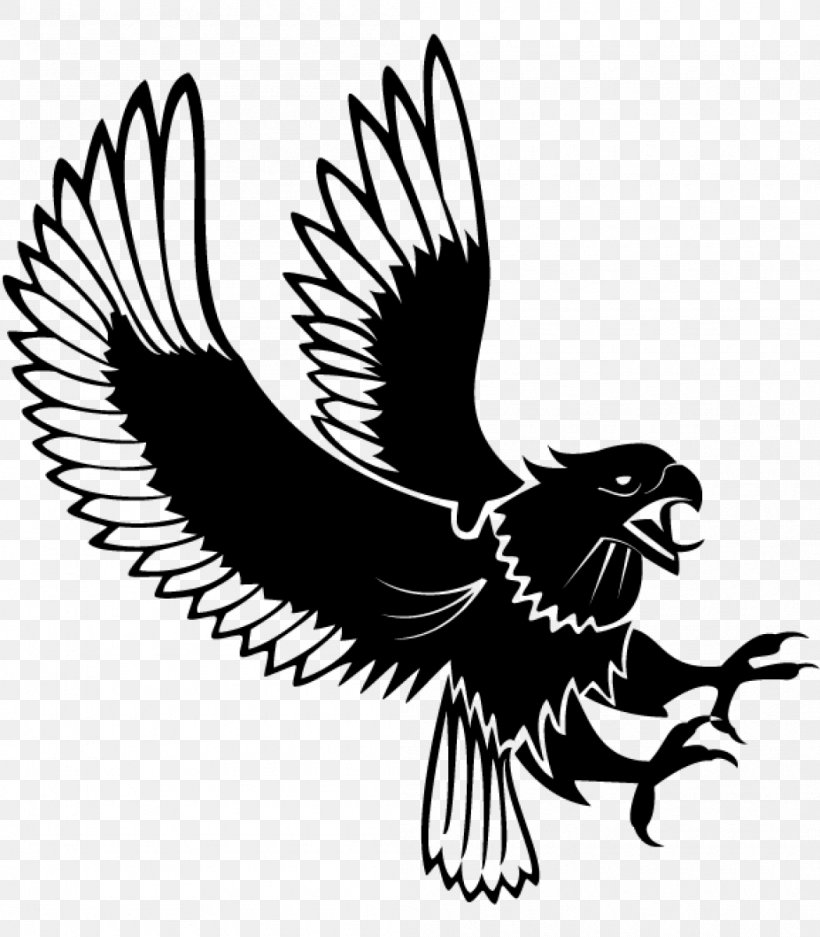 Bald Eagle Clip Art, PNG, 1050x1200px, Bald Eagle, Accipitriformes, Beak, Bird, Bird Of Prey Download Free