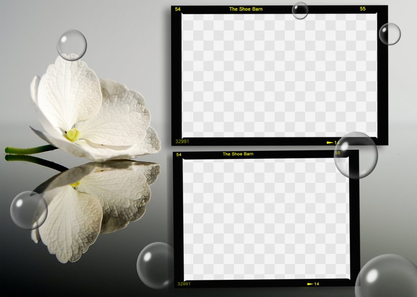 Flower Desktop Wallpaper Nature Mirror, PNG, 1500x1071px, Flower, Aspect Ratio, Color, Highdefinition Television, Hvga Download Free