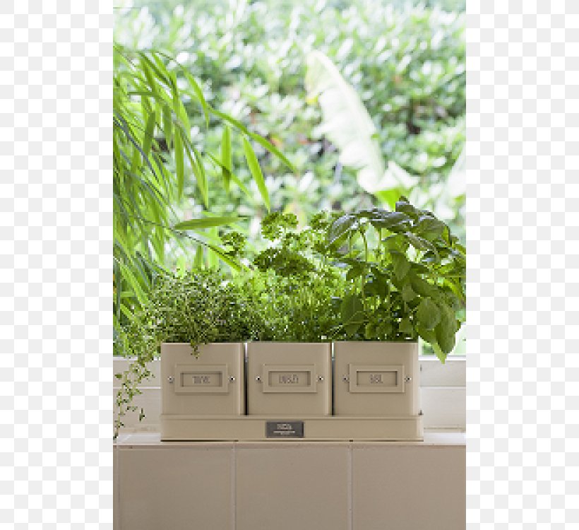 Flowerpot The Potted Herb Tray Flower Box, PNG, 750x750px, Flowerpot, Container, Container Garden, Flora, Flower Box Download Free