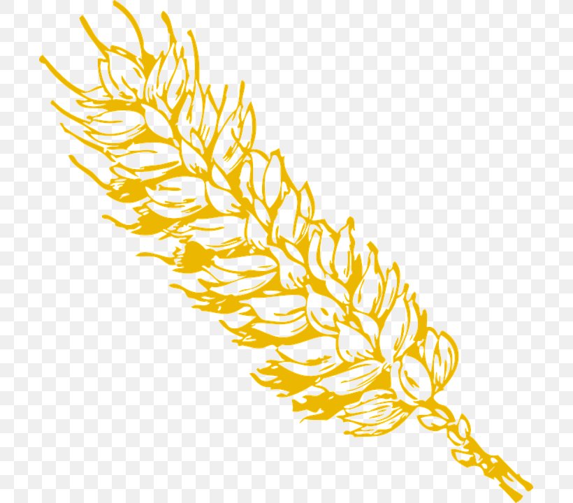 Wheat Grain Clip Art, PNG, 707x720px, Wheat, Branch, Commodity, Ear, Flower Download Free