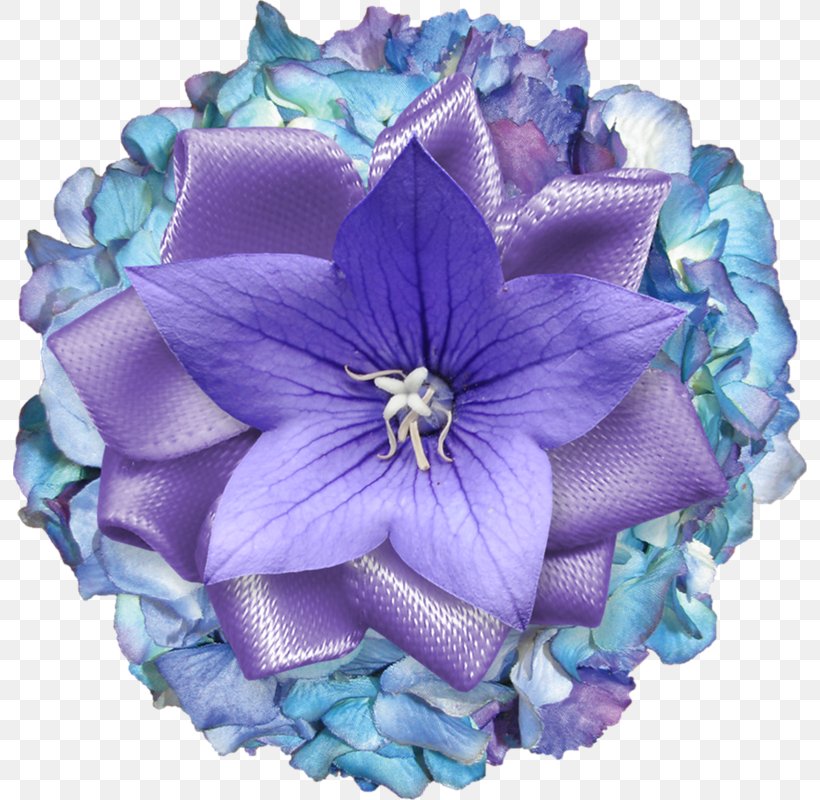 Cut Flowers Hydrangea Flower Bouquet Petal, PNG, 794x800px, Cut Flowers, Biscuits, Blue, Cornales, Curb Download Free