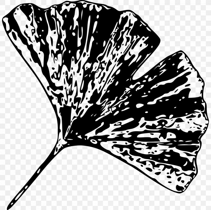Ginkgo Biloba Leaf Tree Plant Clip Art, PNG, 2409x2400px, Ginkgo Biloba, Black And White, Butterfly, Extract, Flowering Plant Download Free