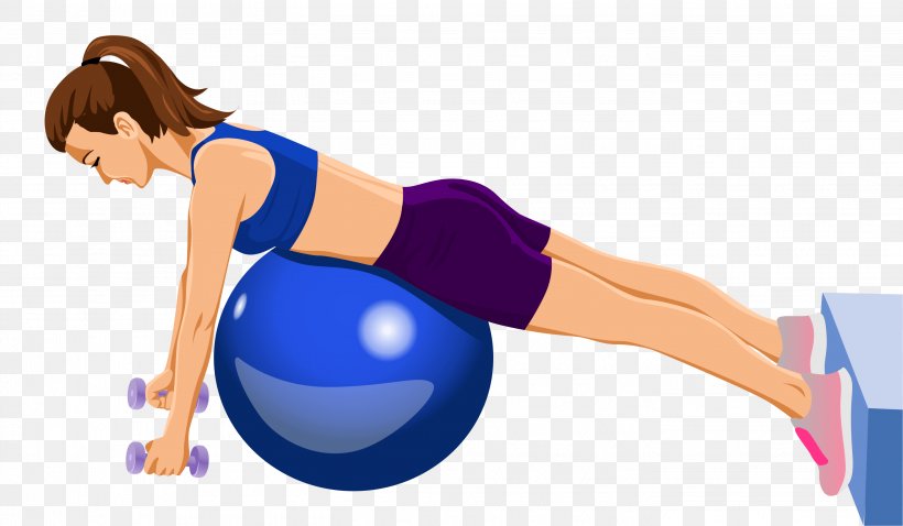 Exercise Equipment Physical Fitness Physical Exercise Exercise Balls Arm, PNG, 2835x1654px, Exercise Equipment, Abdomen, Arm, Balance, Ball Download Free