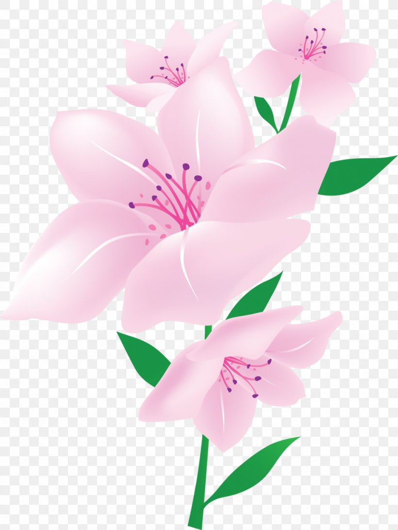 Cut Flowers Floral Design Plant Moth Orchids, PNG, 961x1280px, Flower, Blossom, Branch, Cut Flowers, Floral Design Download Free