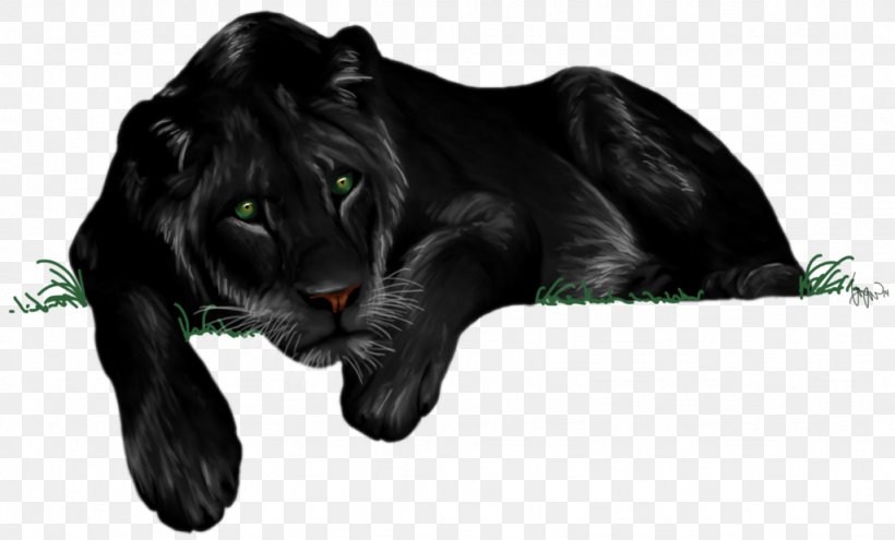 Lion Photography Drawing Art, PNG, 1024x619px, Lion, Art, Big Cats, Black And White, Black Panther Download Free