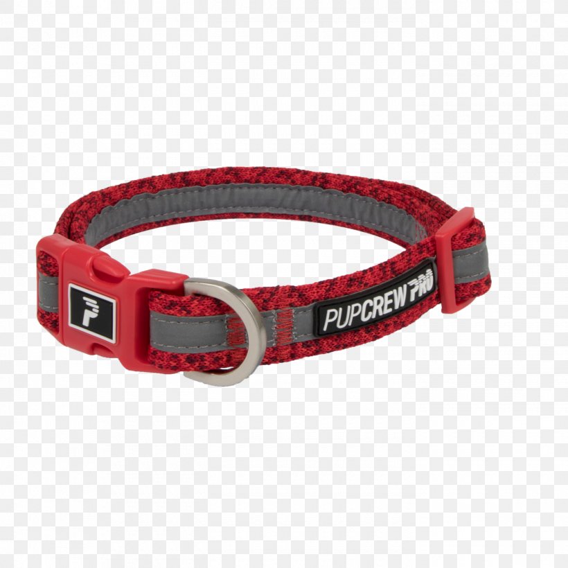 Dog Collar Cat Dog Collar Pet Shop, PNG, 1400x1400px, Dog, Cat, Clothing Accessories, Collar, Dog Collar Download Free