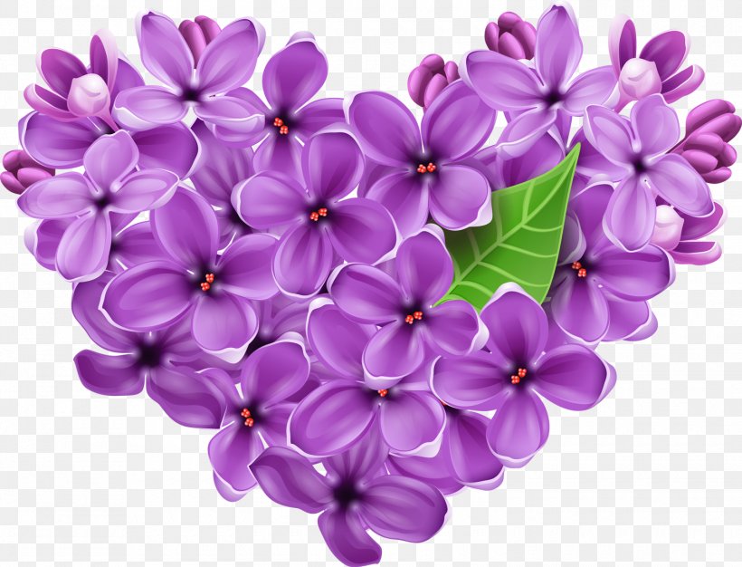 Flower Heart Lilac Clip Art, PNG, 1500x1146px, Flower, Color, Cut Flowers, Floral Design, Flowering Plant Download Free