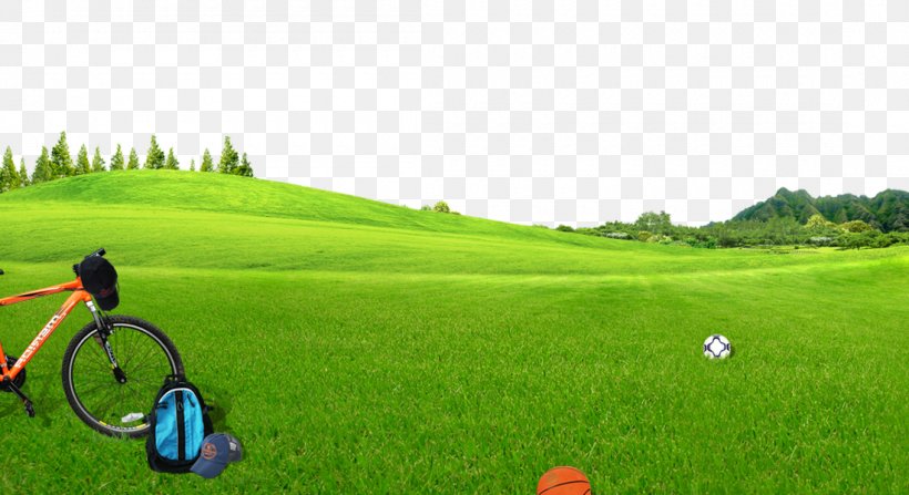 Green Lawn Blue, PNG, 1100x600px, Green, Blue, Energy, Farm, Field Download Free