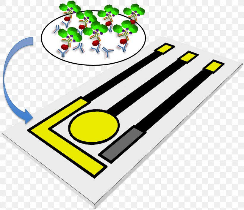 Immunoassay Electrochemiluminescence Electrochemical Gas Sensor Antibody Electrochemistry, PNG, 973x839px, Immunoassay, Antibody, Area, Biomarker, Cyclic Voltammetry Download Free