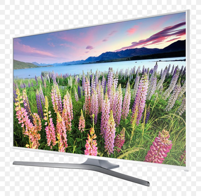 LED-backlit LCD High-definition Television 1080p Smart TV, PNG, 800x800px, 4k Resolution, Ledbacklit Lcd, Flora, Flower, Grass Download Free