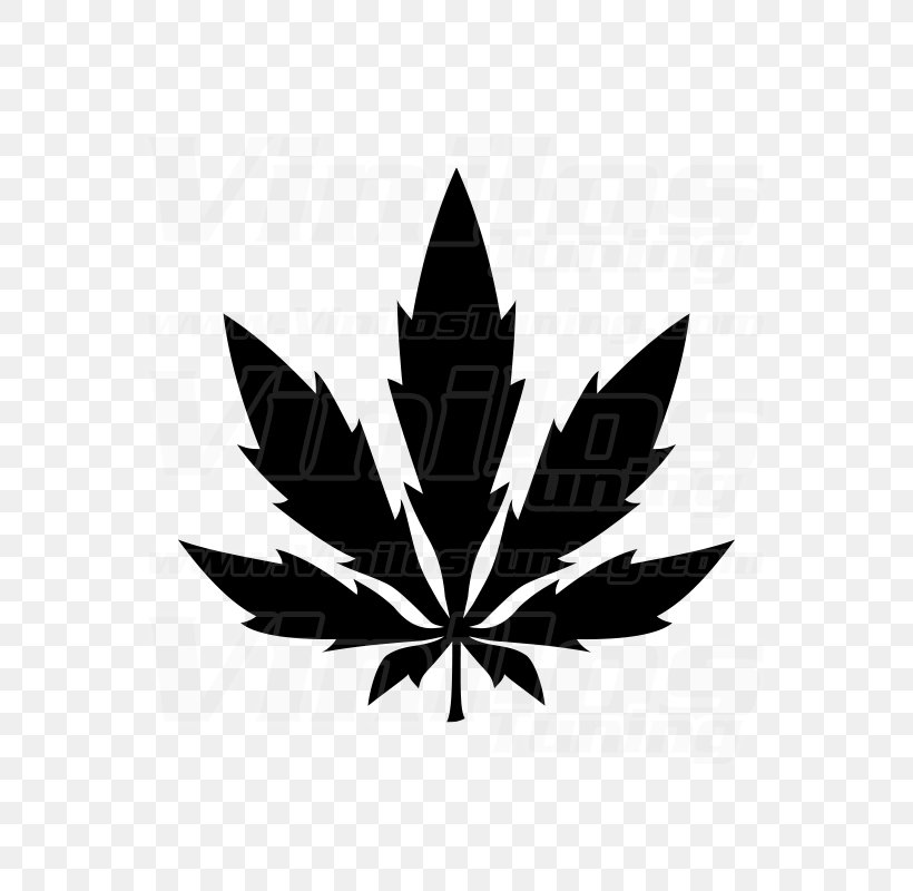 Medical Cannabis Marijuana Leaf Hemp, PNG, 800x800px, 420 Day, Cannabis, Black And White, Cannabis Smoking, Color Download Free