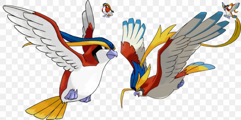 Pokémon X And Y Pokémon Omega Ruby And Alpha Sapphire Pokémon Battle Revolution Pokémon Sun And Moon Pidgeot, PNG, 1024x512px, Watercolor, Cartoon, Flower, Frame, Heart Download Free